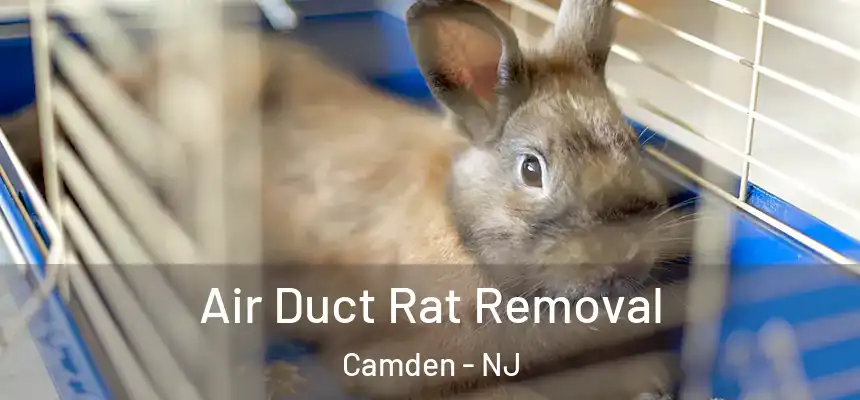 Air Duct Rat Removal Camden - NJ