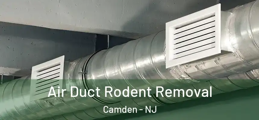 Air Duct Rodent Removal Camden - NJ