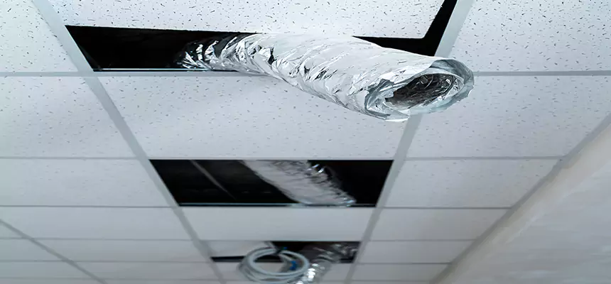 Our Air Duct Pet Hair Removal Services in Camden, NJ