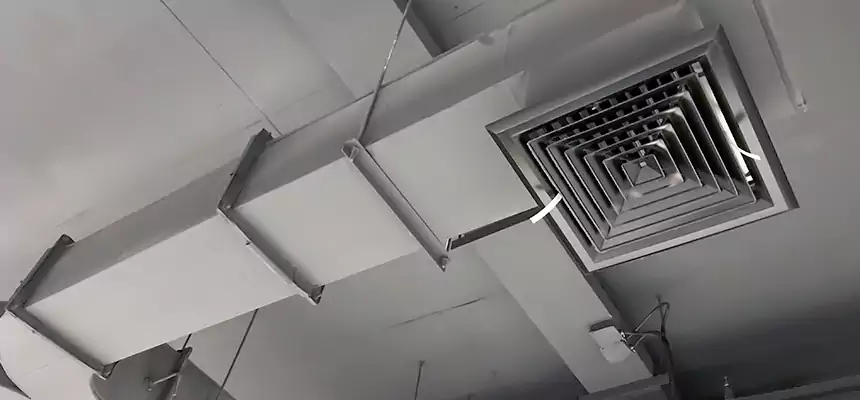 Restorative Allergy Relief Vent Cleaning – Coil, Blower & Housing Detail in Camden