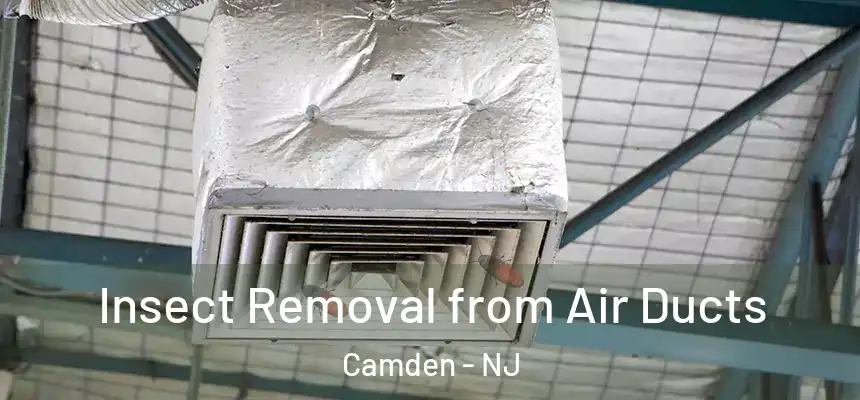  Insect Removal from Air Ducts Camden - NJ