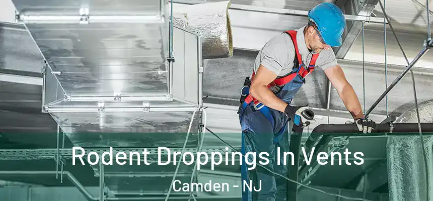  Rodent Droppings In Vents Camden - NJ