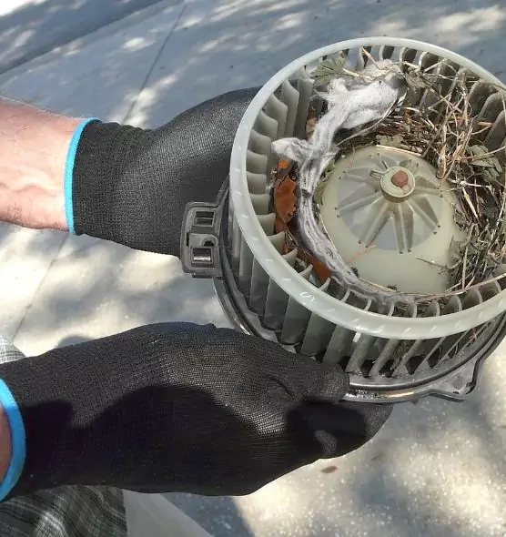 About Air Duct Rat Removal in Camden, NJ