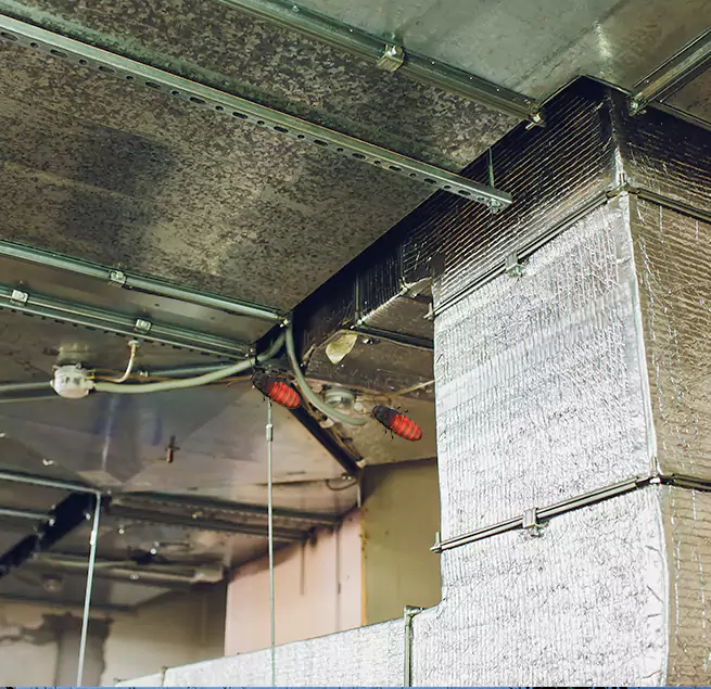 Why Homeowners & Businesses Trust Us in Camden, NJ?