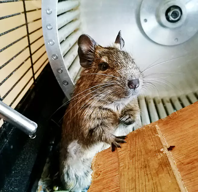 Why Homeowners & Businesses Trust Us Camden, NJ