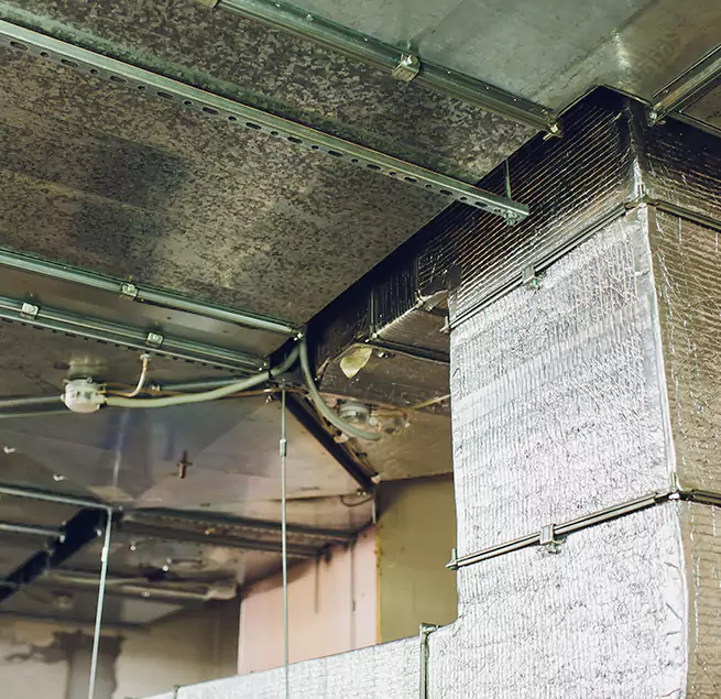 Why Homeowners & Businesses Trust Us in Camden, NJ?