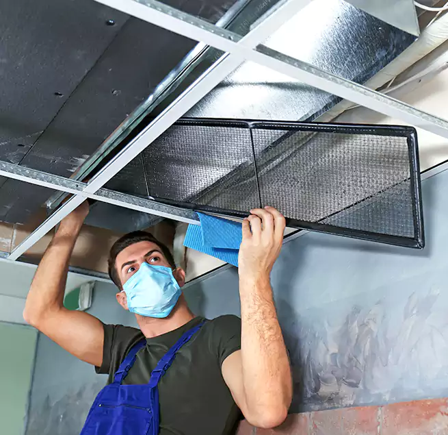 Why Homeowners Businesses Trust Us in Camden, NJ